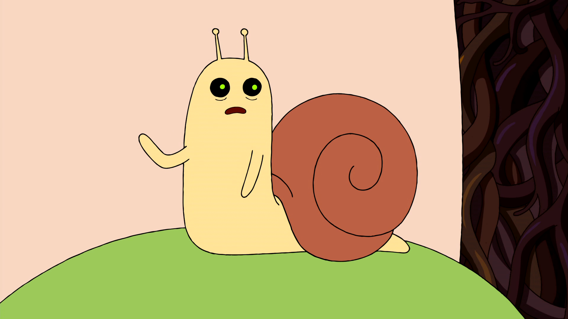 snail