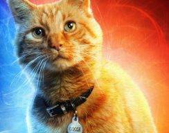 Первым зрителям «Капитан Марвел» больше всего понравился кот. В комиксах он был жутким чудовищем