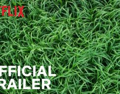 Первый трейлер триллера «Высокая зелёная трава» по повести Стивена Кинга и Джо Хилла