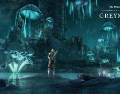 ZeniMax Online выпустит русскую локализацию The Elder Scrolls Online
