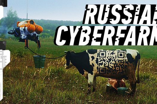 «Руссская киберферма» — лучшее вирусное видео дня