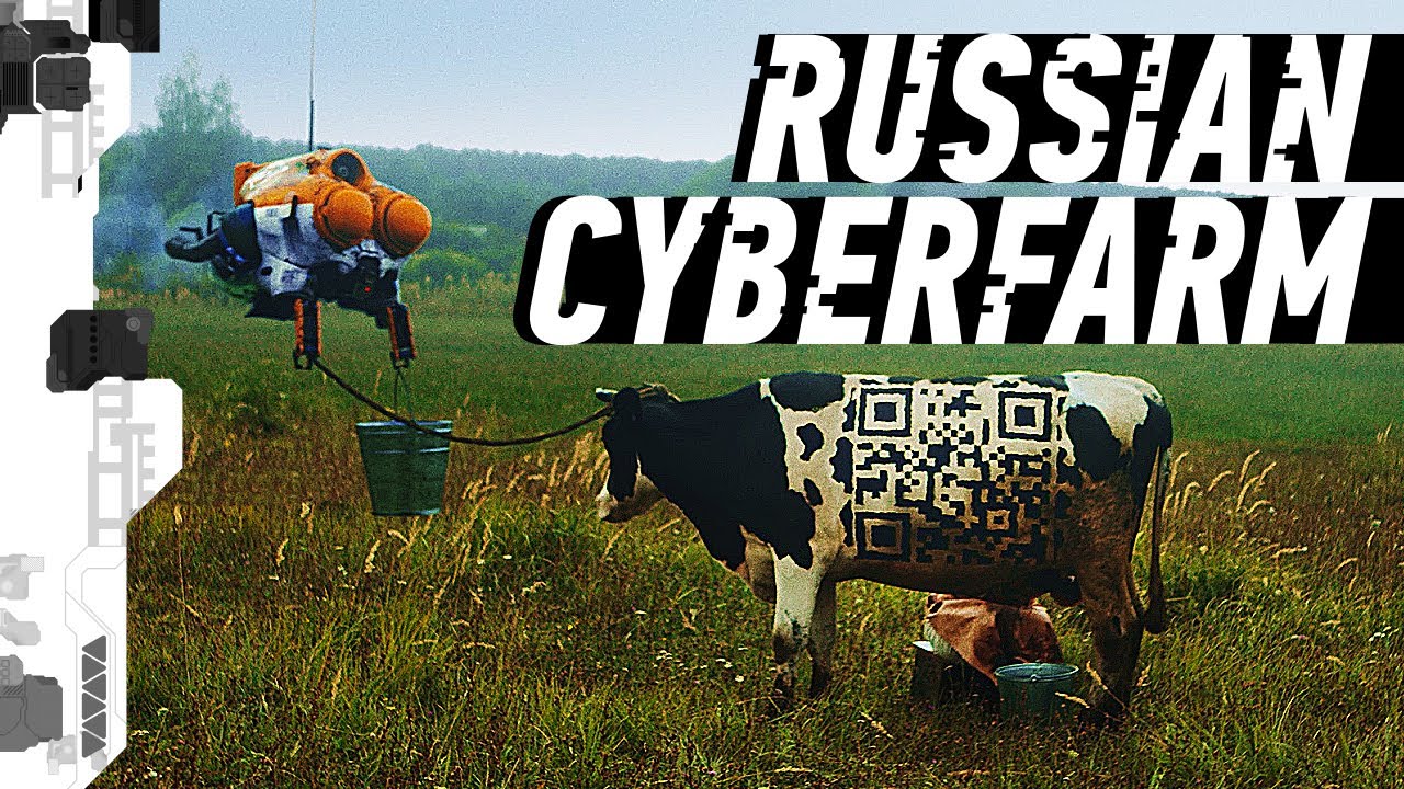 «Руссская киберферма» — лучшее вирусное видео дня