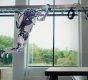 Видео: роботы Boston Dynamics делают паркур
