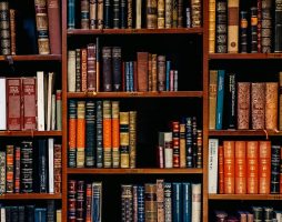 Находка: сервис Librarian AI даёт рекомендации на основе трёх любимых книг 2